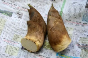 Bamboo shoots on newspaper.
